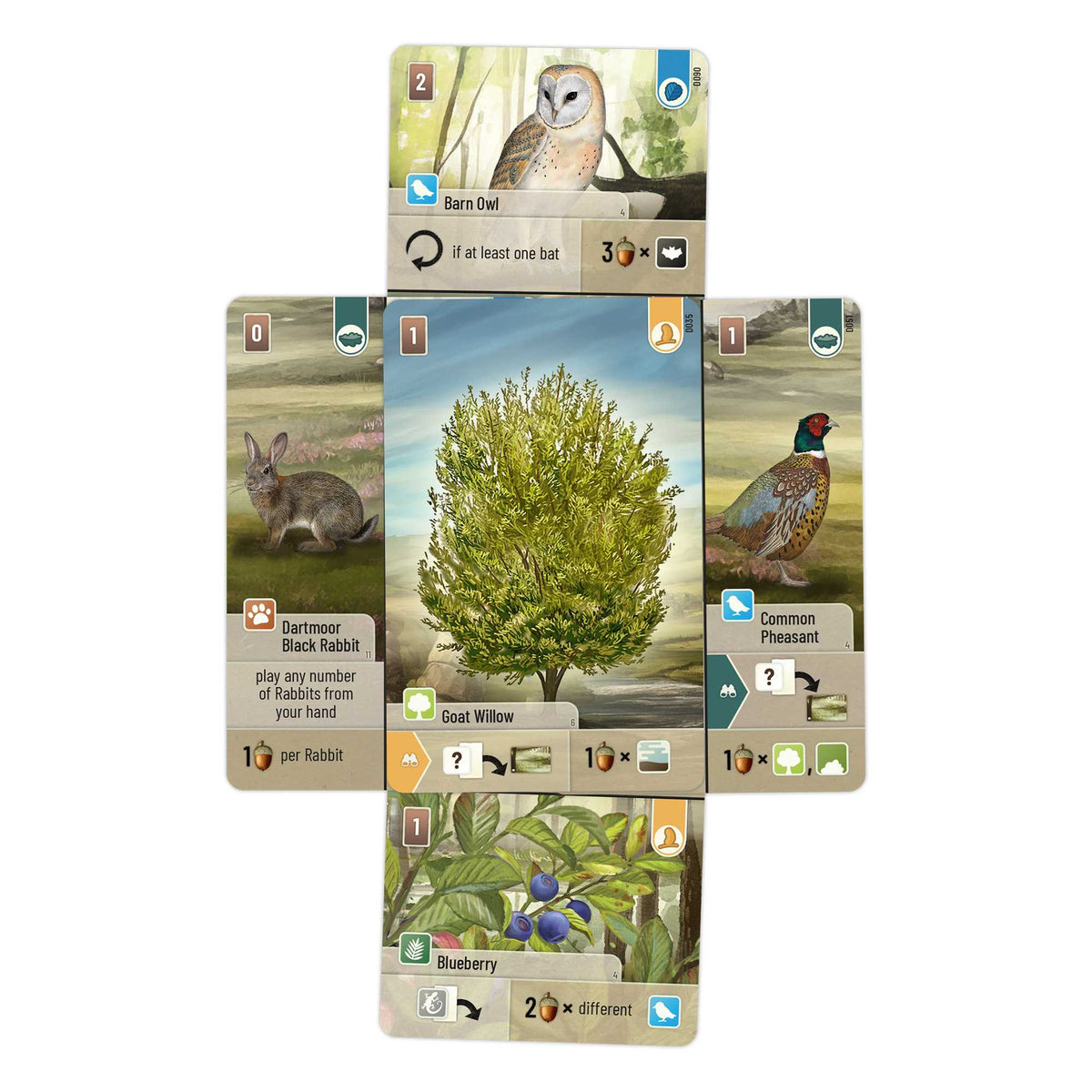 Forest Shuffle Dartmoor Board Game by Lookout Spiele 5