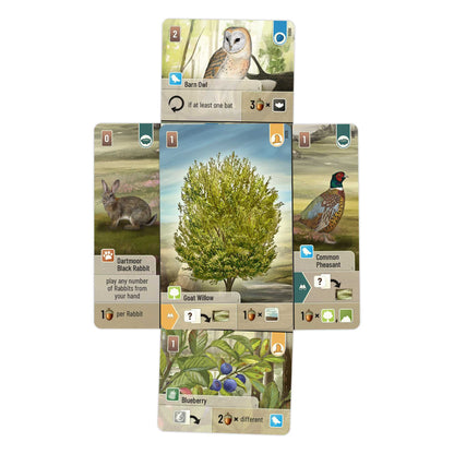 Forest Shuffle Dartmoor Board Game by Lookout Spiele 5