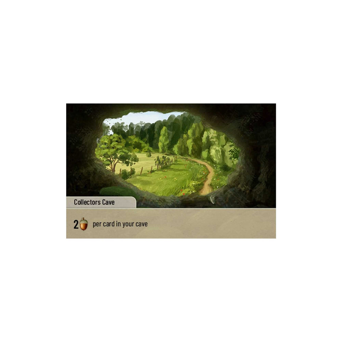 Forest Shuffle Exploration Board Game by Lookout Spiele 5