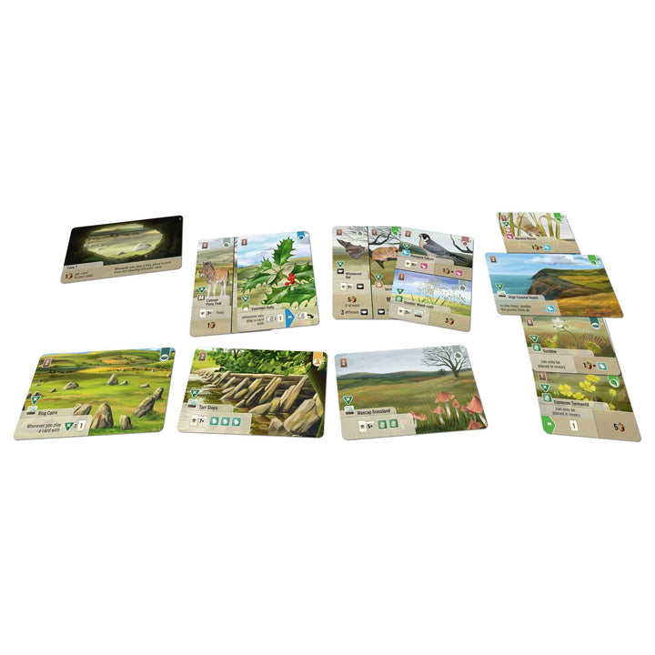 Forest Shuffle Dartmoor Exmoor Board Game Expansion