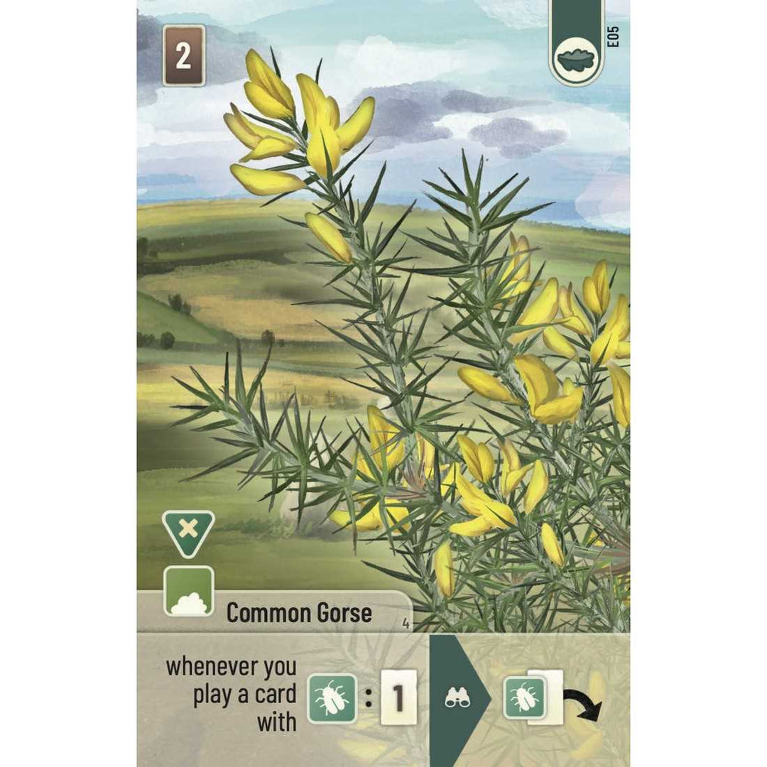 Forest Shuffle Dartmoor Exmoor Board Game Expansion