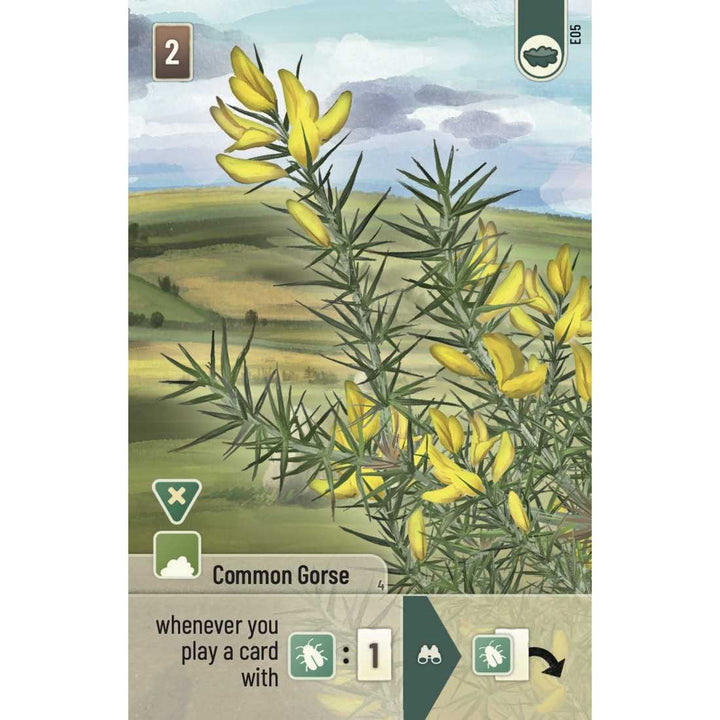 Forest Shuffle Dartmoor Exmoor Board Game Expansion