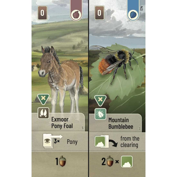 Forest Shuffle Dartmoor Exmoor Board Game Expansion