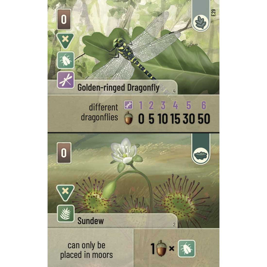 Forest Shuffle Dartmoor Exmoor Board Game Expansion
