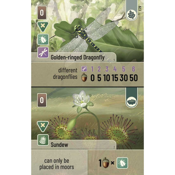 Forest Shuffle Dartmoor Exmoor Board Game Expansion