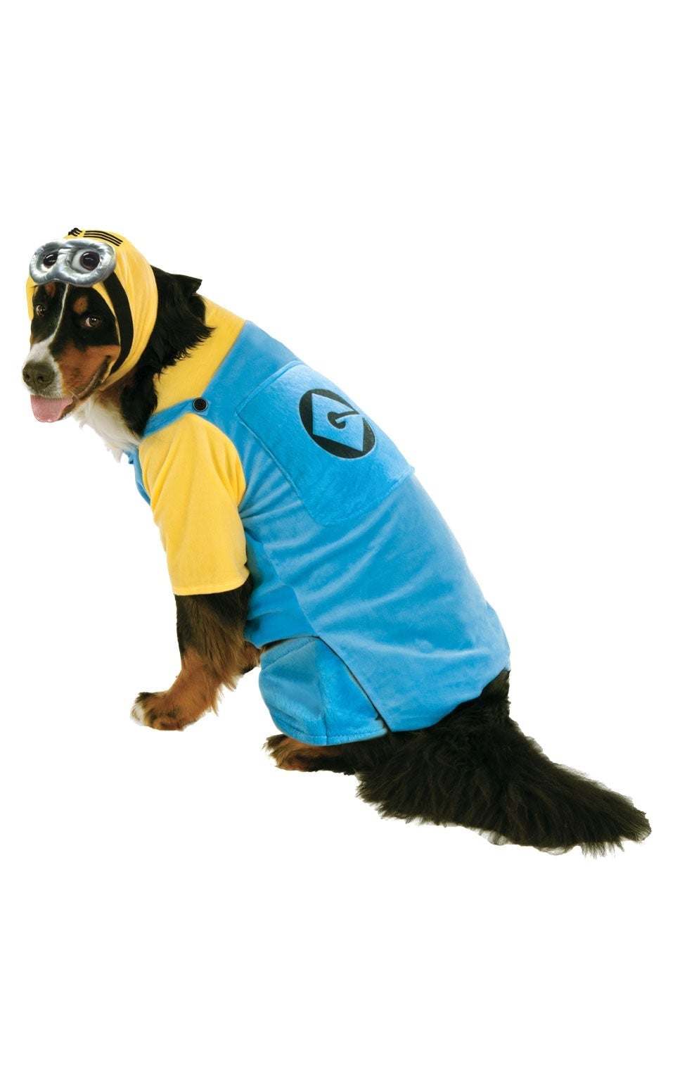 Large Dog Minion Despicable Me Pet Costume 1