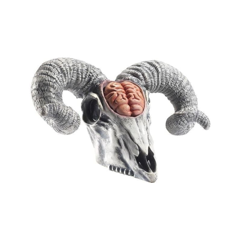 Latex Rams Skull Prop With Exposed Brain Adult Natural Latex Rams Skull Prop With Exposed Brain Adult Natural