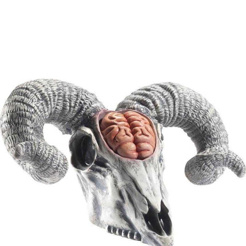 Latex Rams Skull Prop With Exposed Brain Adult Natural_1