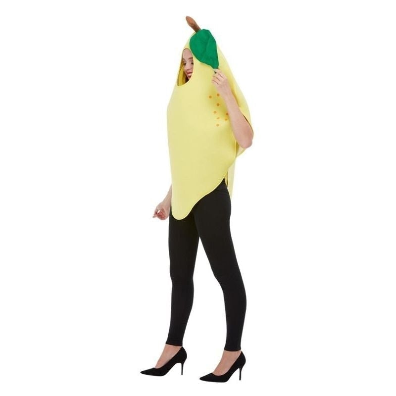 Size Chart Lemon Costume Adult Tabard Yellow