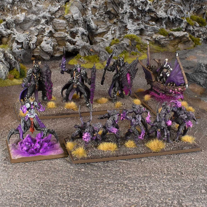 Kings of War: Champions - La'theal Voidheart Company Box 3