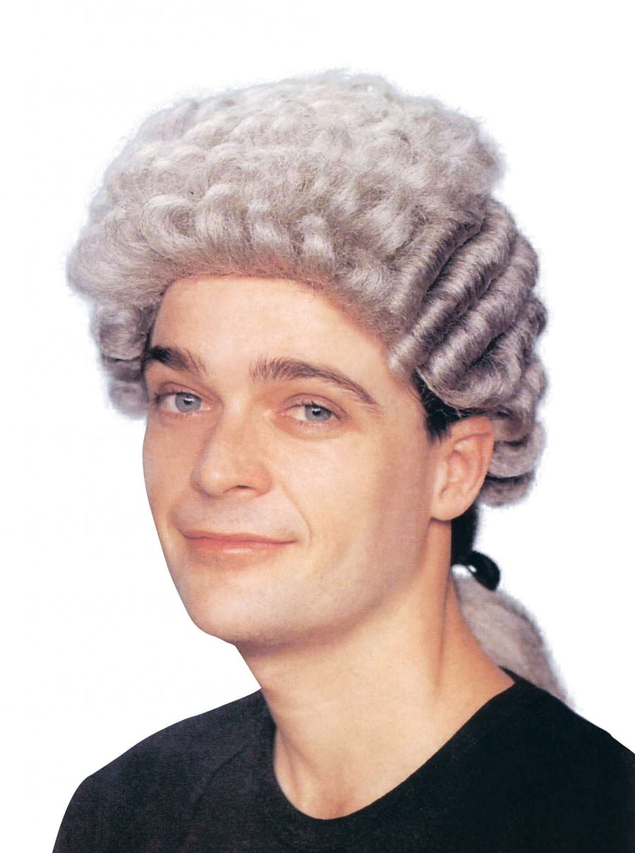 Mens Barrister Wig Grey Wigs Male Halloween Costume_1