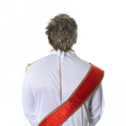 Mens Prince Charming Adult Costume Male Halloween 3