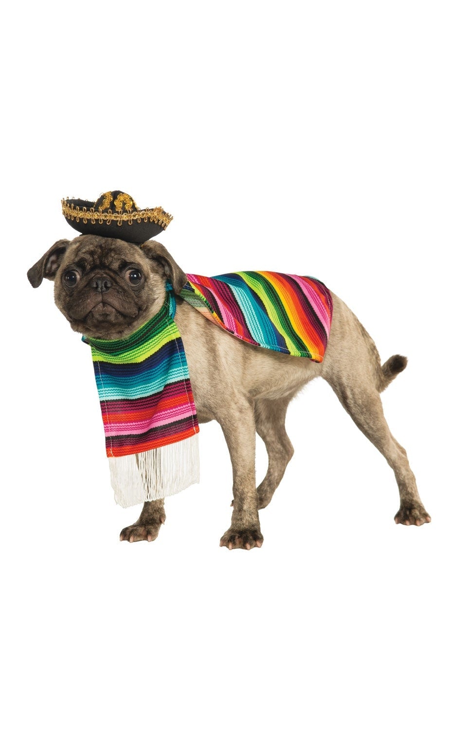 Mexican Serape Pet Dog Costume 1