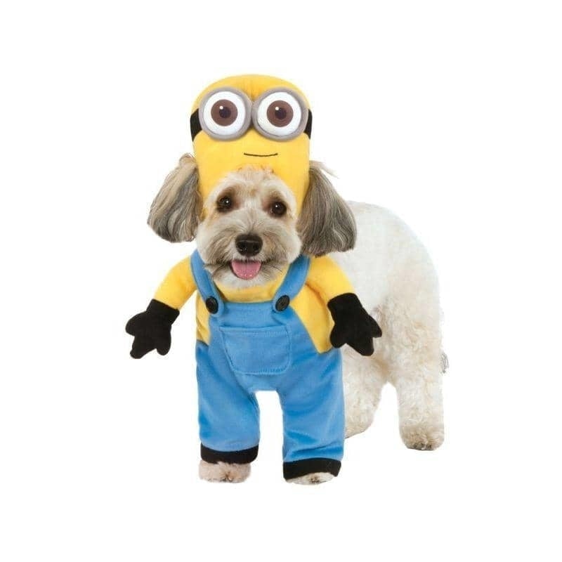 Minion Bob Arms Pet Suit 1