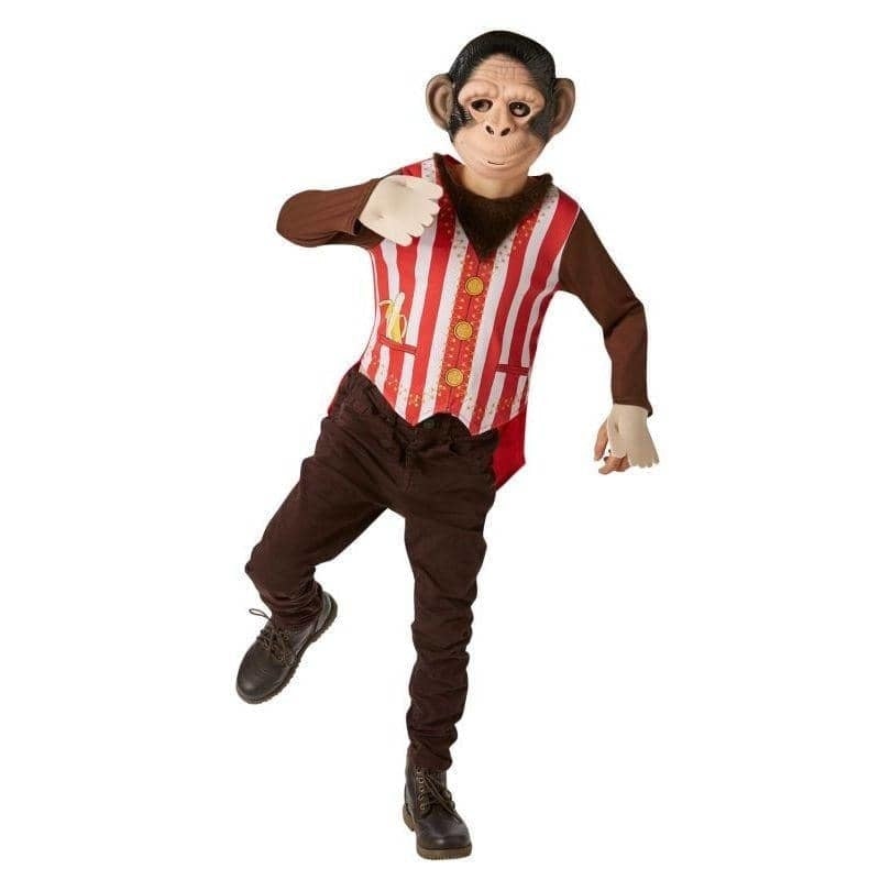Mr Monkey Child Brown Costume 1