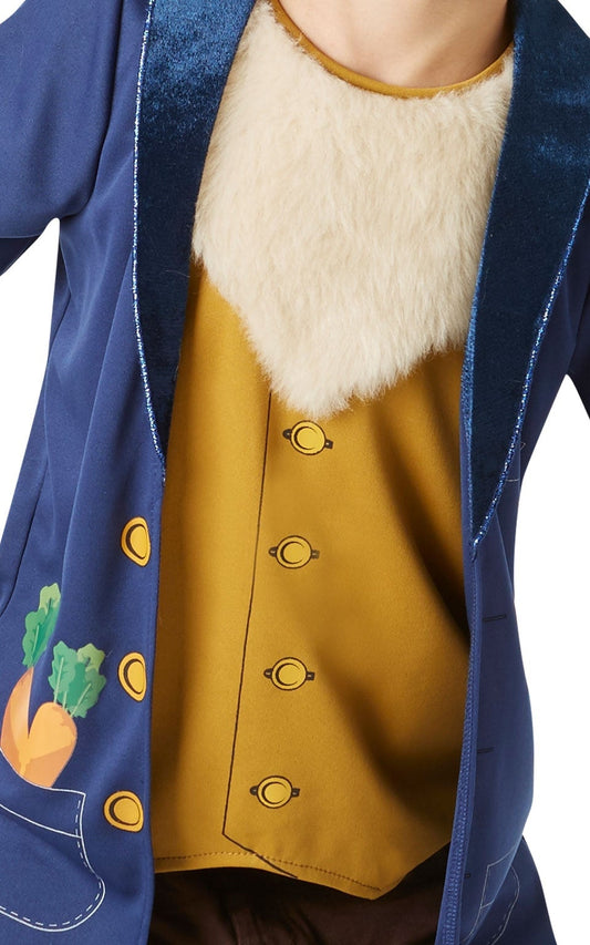 Mr Rabbit Costume for Book Week 2