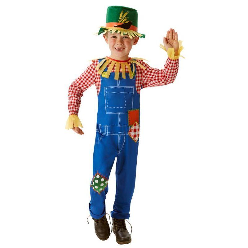 Mr Scarecrow 1