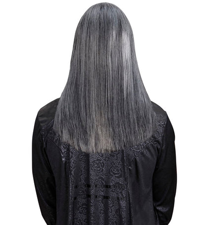 Grey Victor Dream Hair Wig In Color Box
