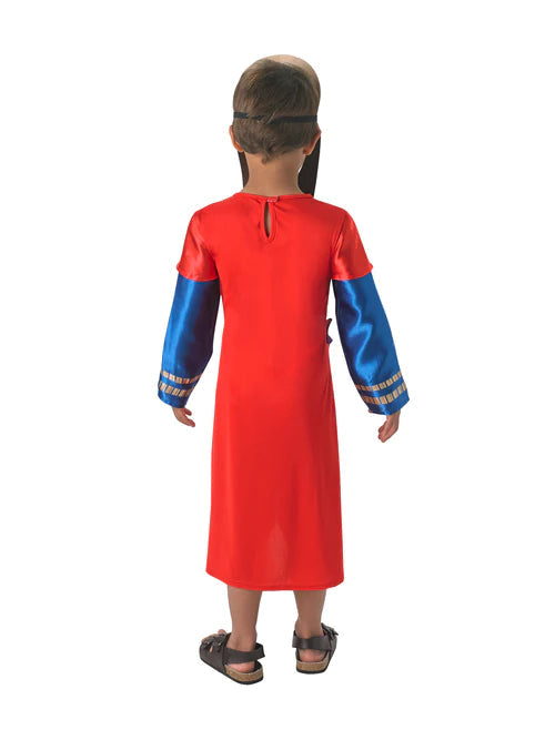 Nativity Wise Man Costume Child Nativity King 2