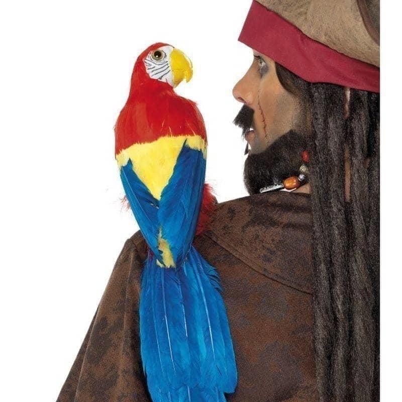 Parrot 50cm 20in Adult_1