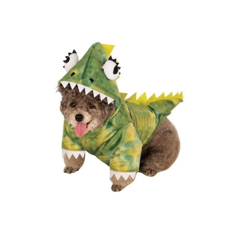 Pet Costume 1