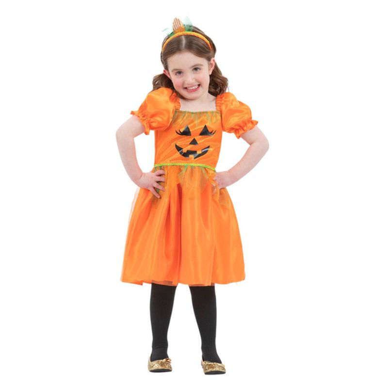 Pumpkin Costume Child 1