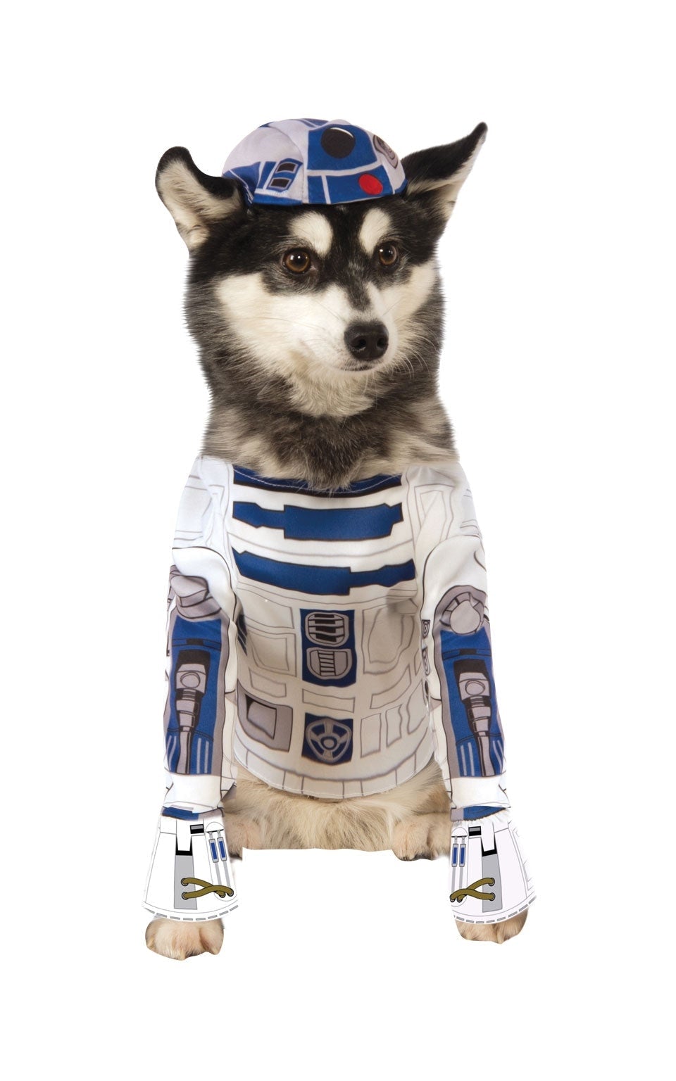 R2 D2 Pet Costume Star Wars Droid Dog 1