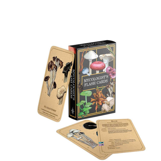 Mycologists Primer Flash Cards Board Game by Renegade Studio 1