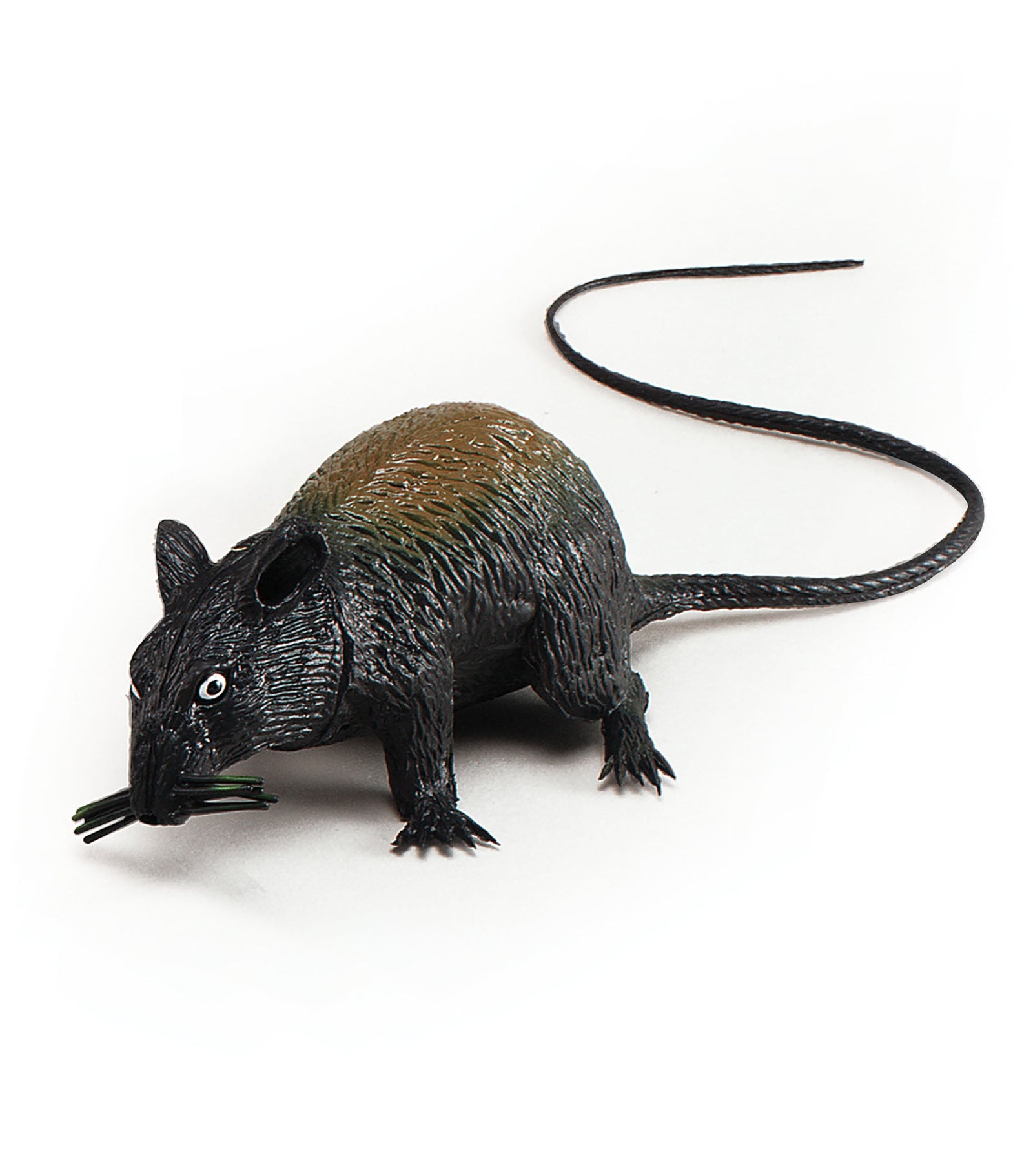 Rat Squeaking Large Toy Animal Rubber Prop 1