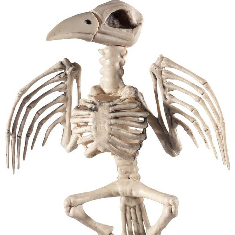 Raven Skeleton Prop Adult Natural_1
