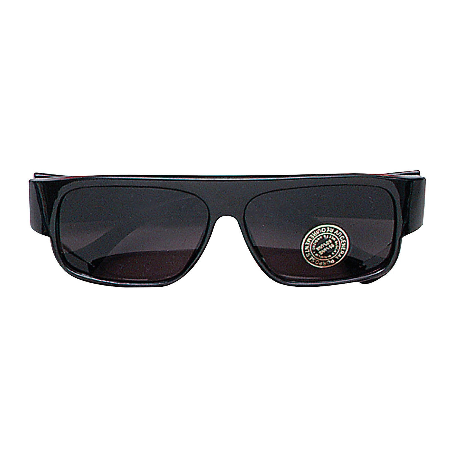 Rayban Style Glasses Costume Accessory 1
