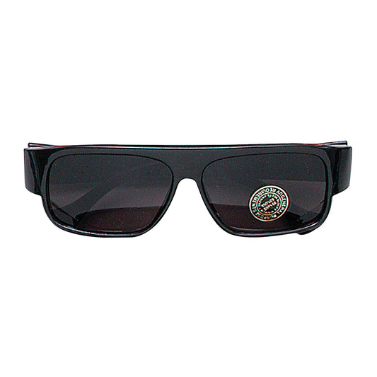 Rayban Style Glasses Costume Accessory 1