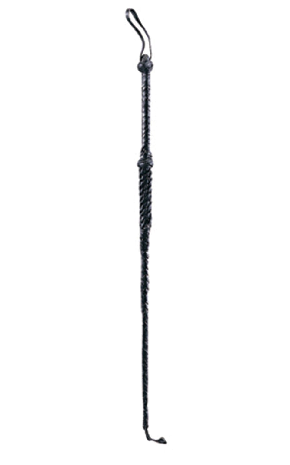 Riding Crop 1