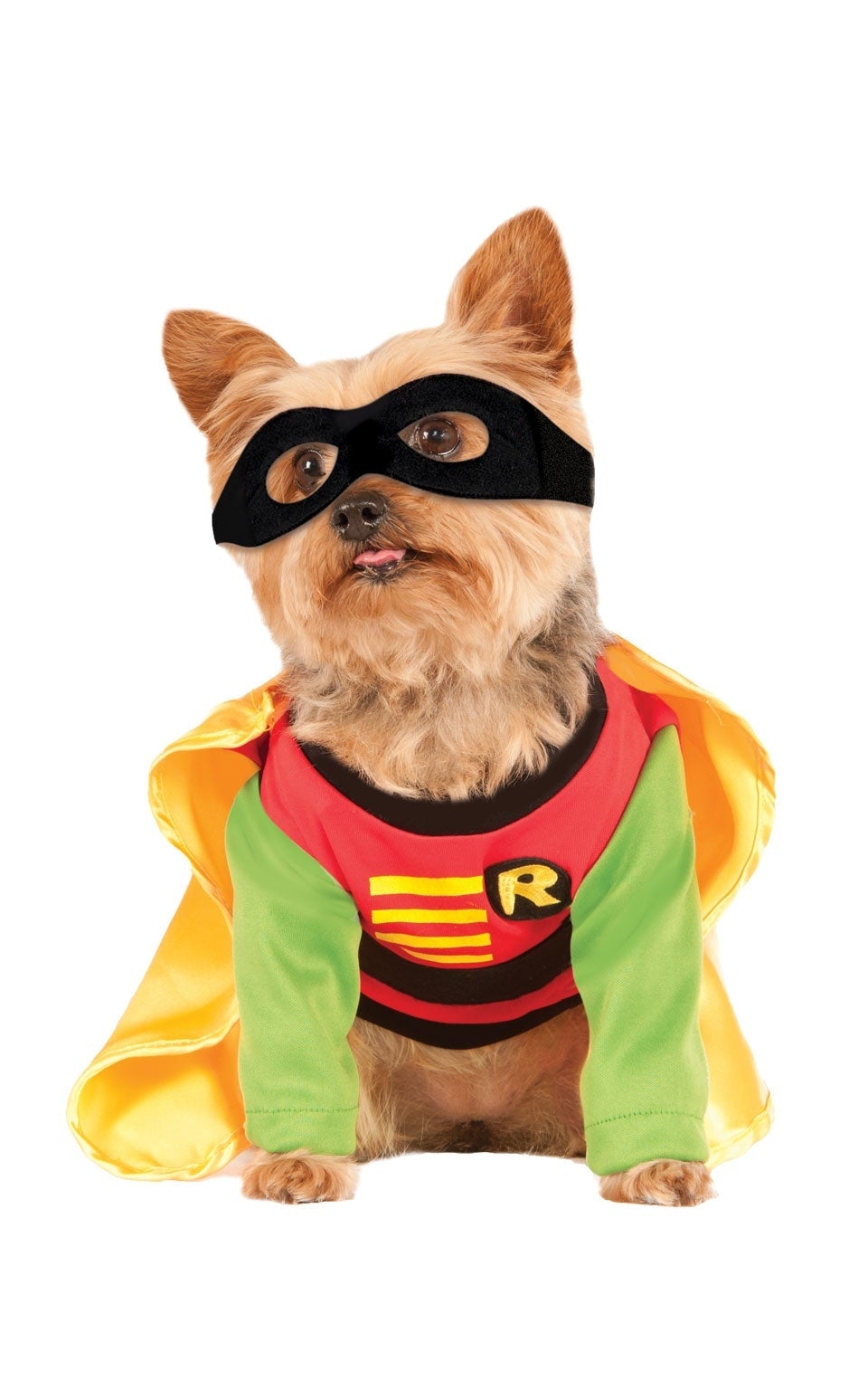Robin Pet Costume for Dogs and Cats_1