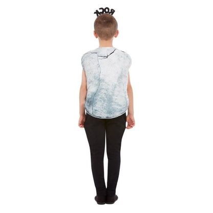 Rock Costume Grey 2