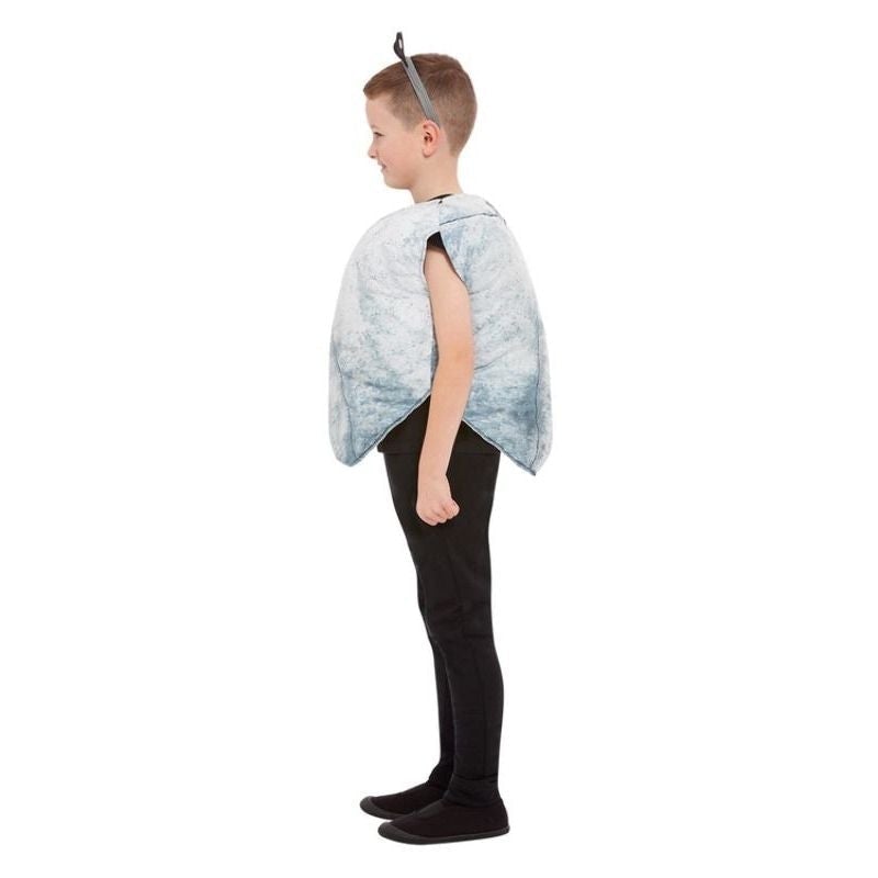 Rock Costume Grey 3