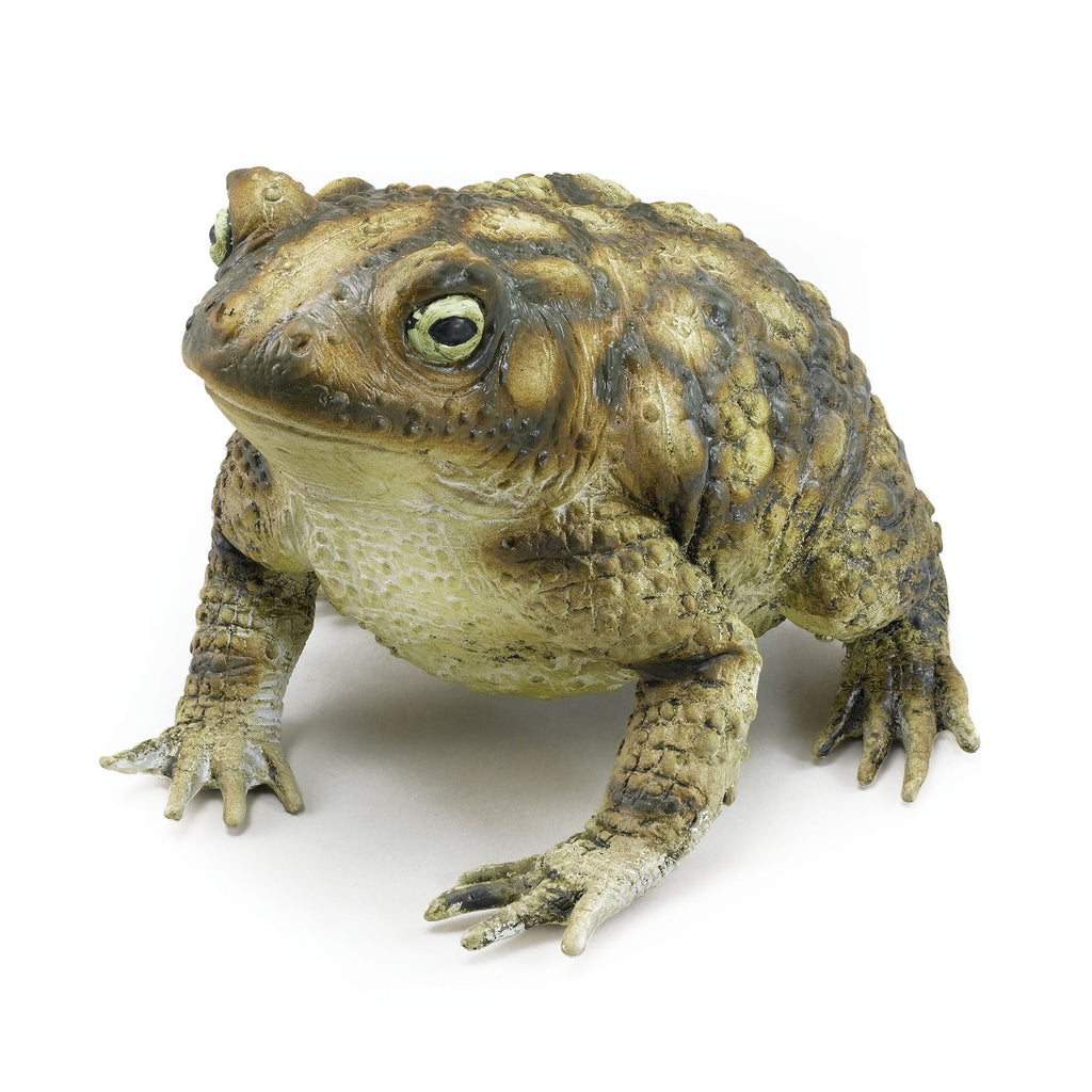 Rubber Toad 28cm Large Prop Animal Kingdom Rubber Toad 28cm Large Prop Animal Kingdom