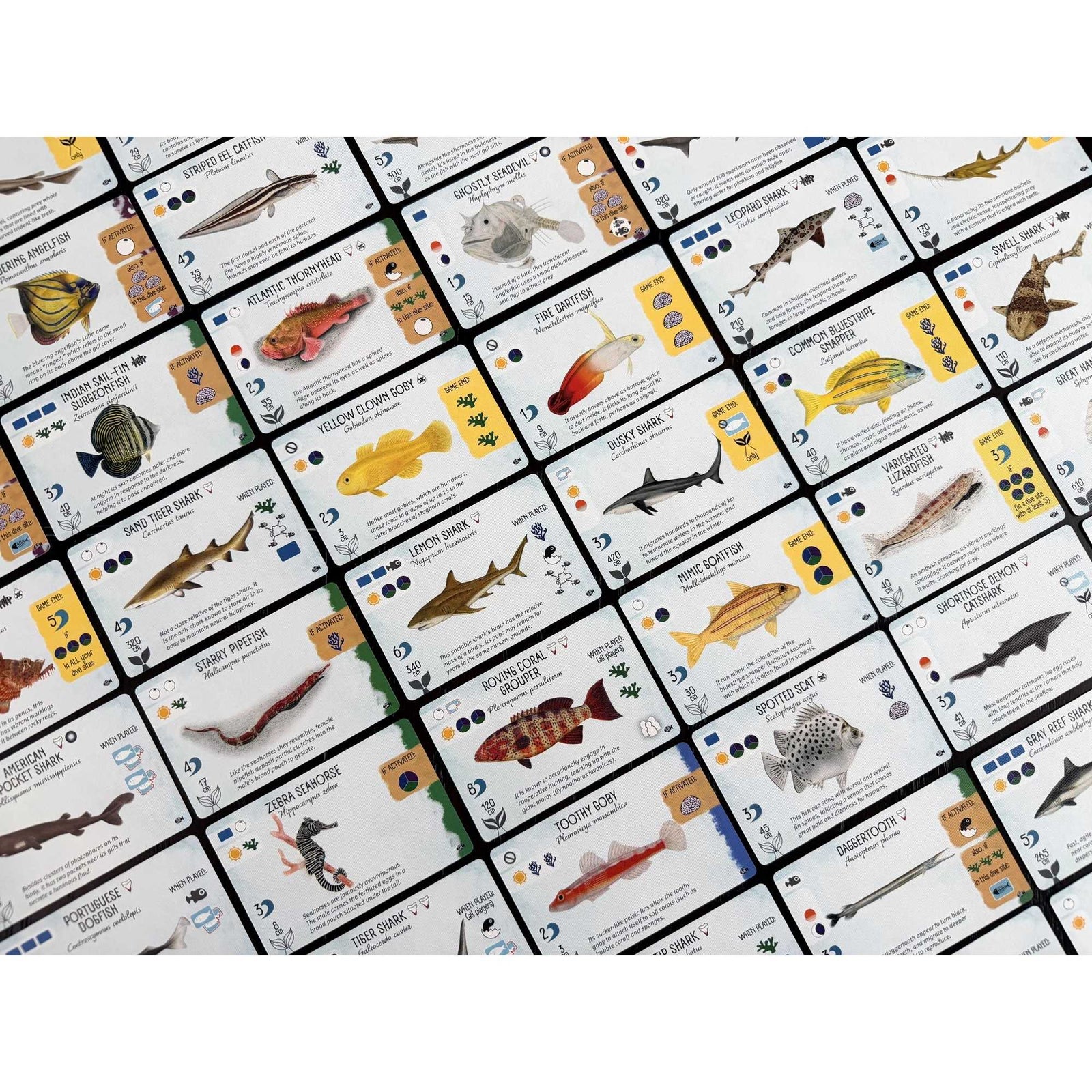Finspan Sharks and Reefs Board Game Expansion