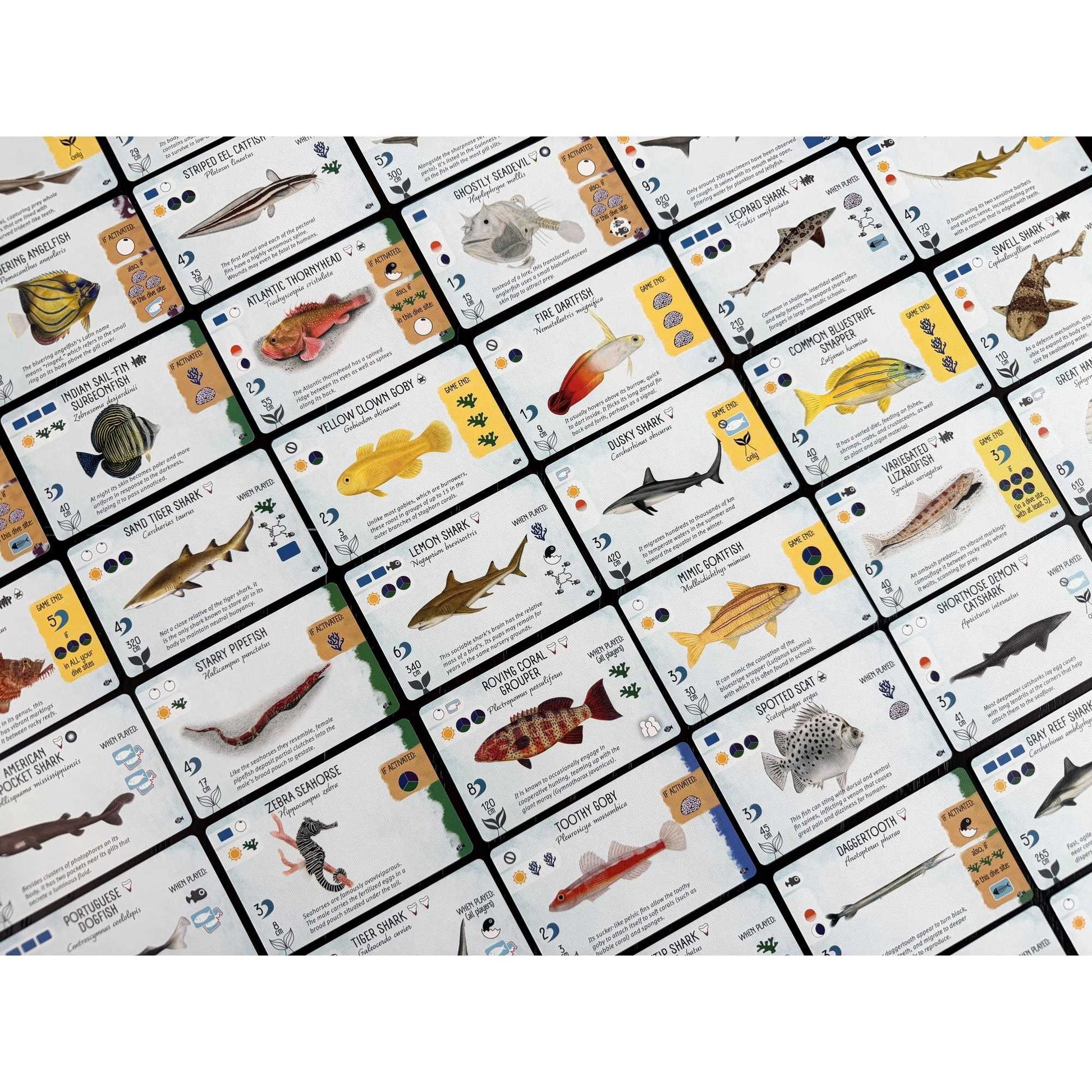 Finspan Sharks and Reefs Board Game Expansion