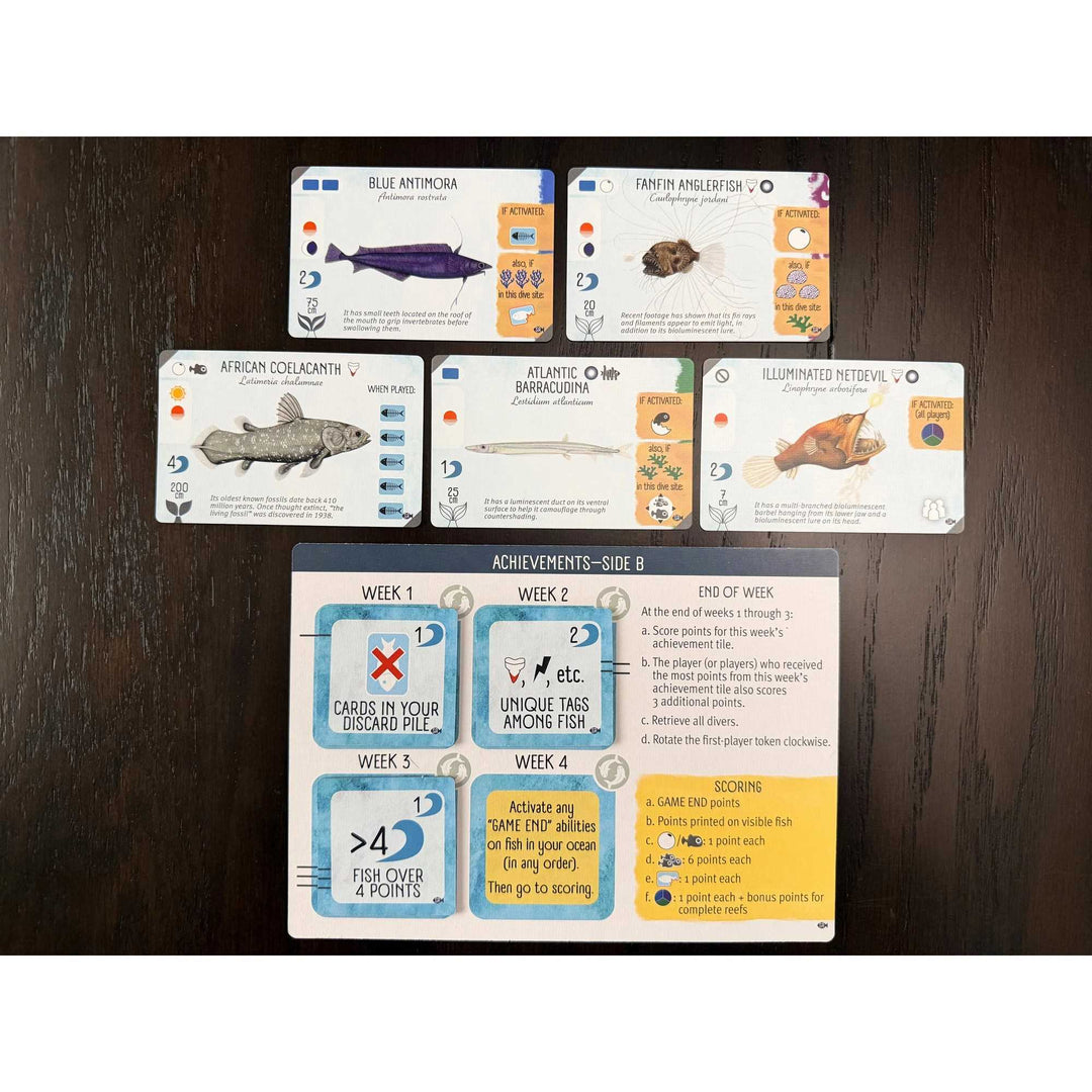 Finspan Sharks and Reefs Board Game Expansion