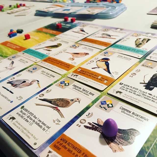Wingspan European Expansion Board Game by Stonemaier 3