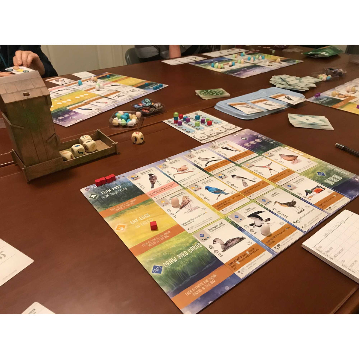 Wingspan 2nd Ed Board Game by Stonemaier 3