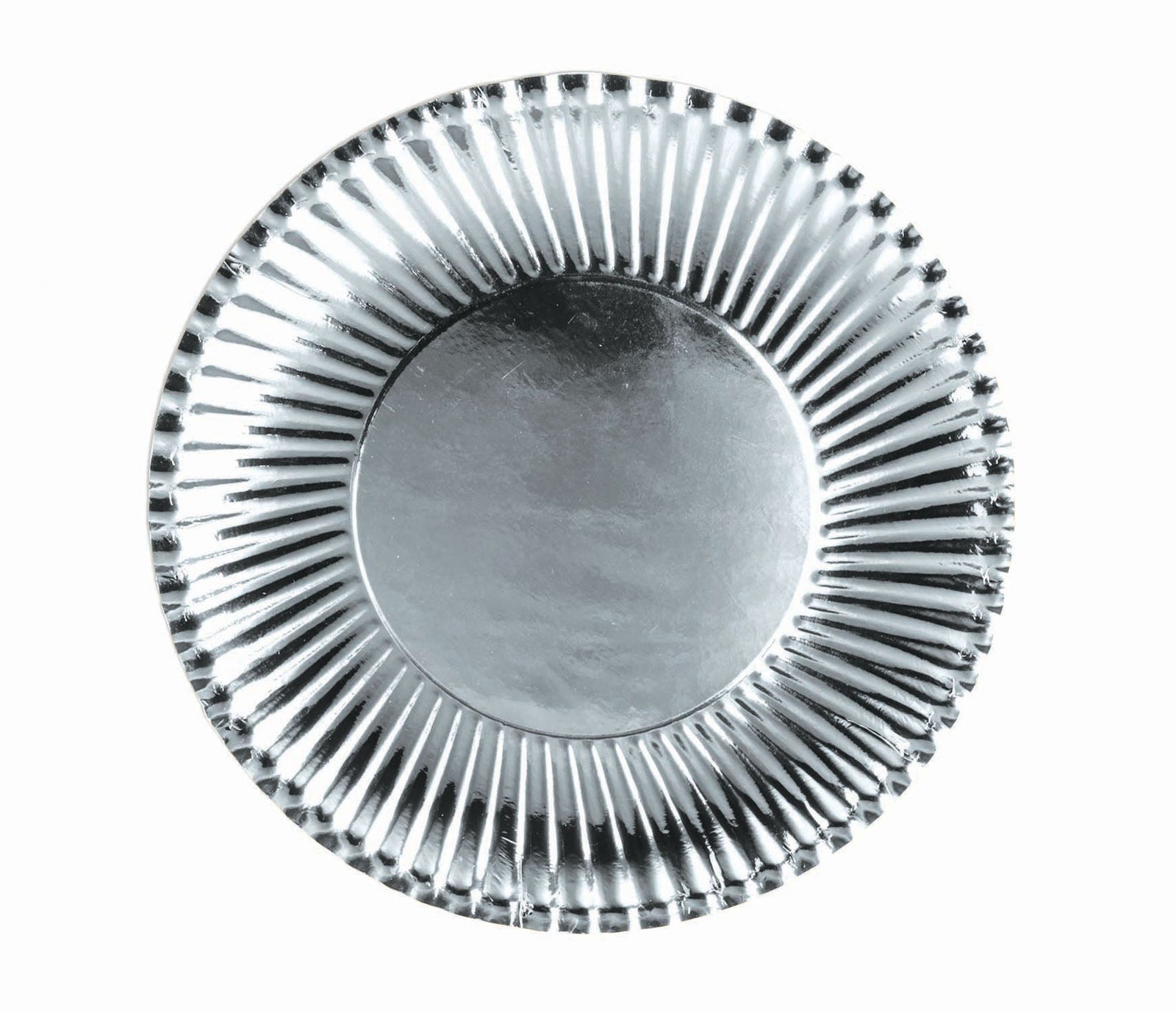 Silver Paper Plates Large 10 Pack 23cm 1