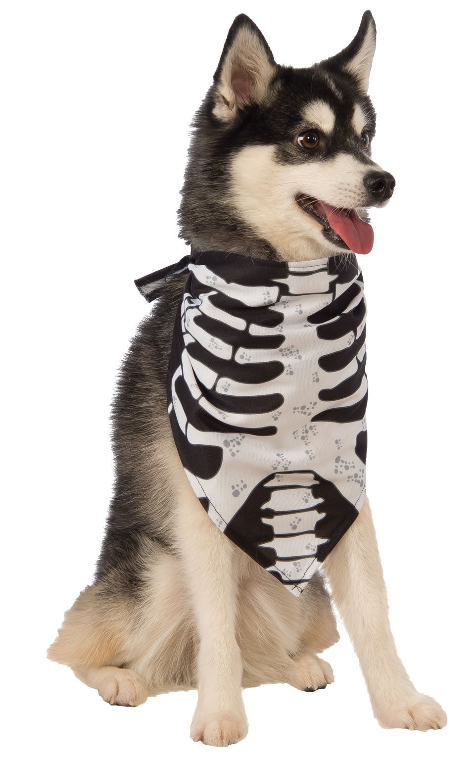 Skeleton Bandana Pet Costume_1