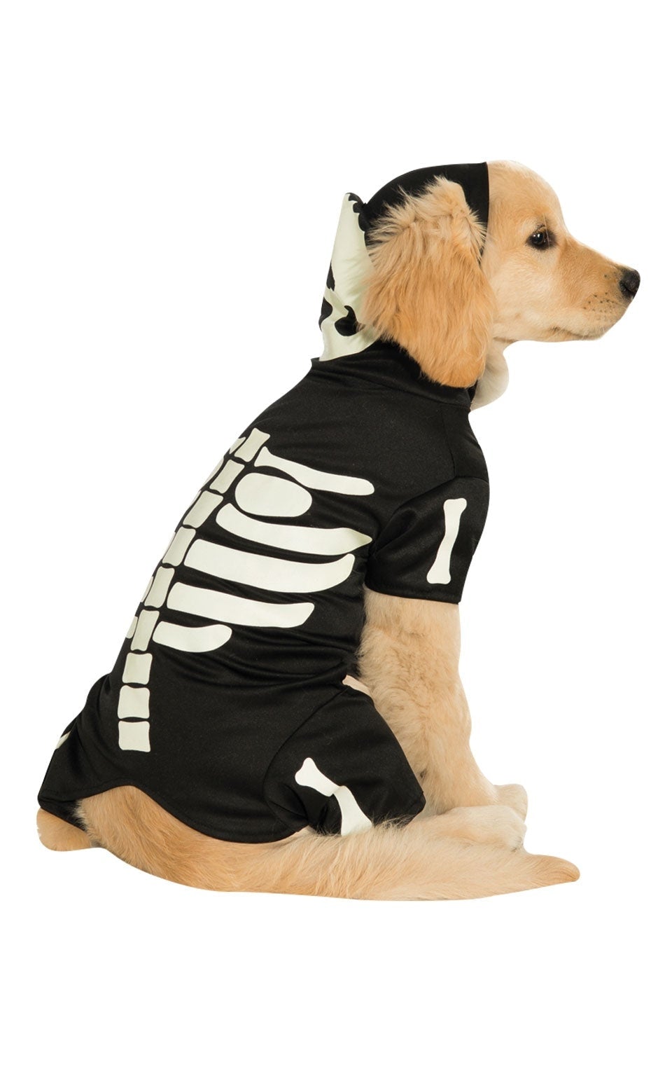 Skeleton Hoodie Pet Dog Costume_1