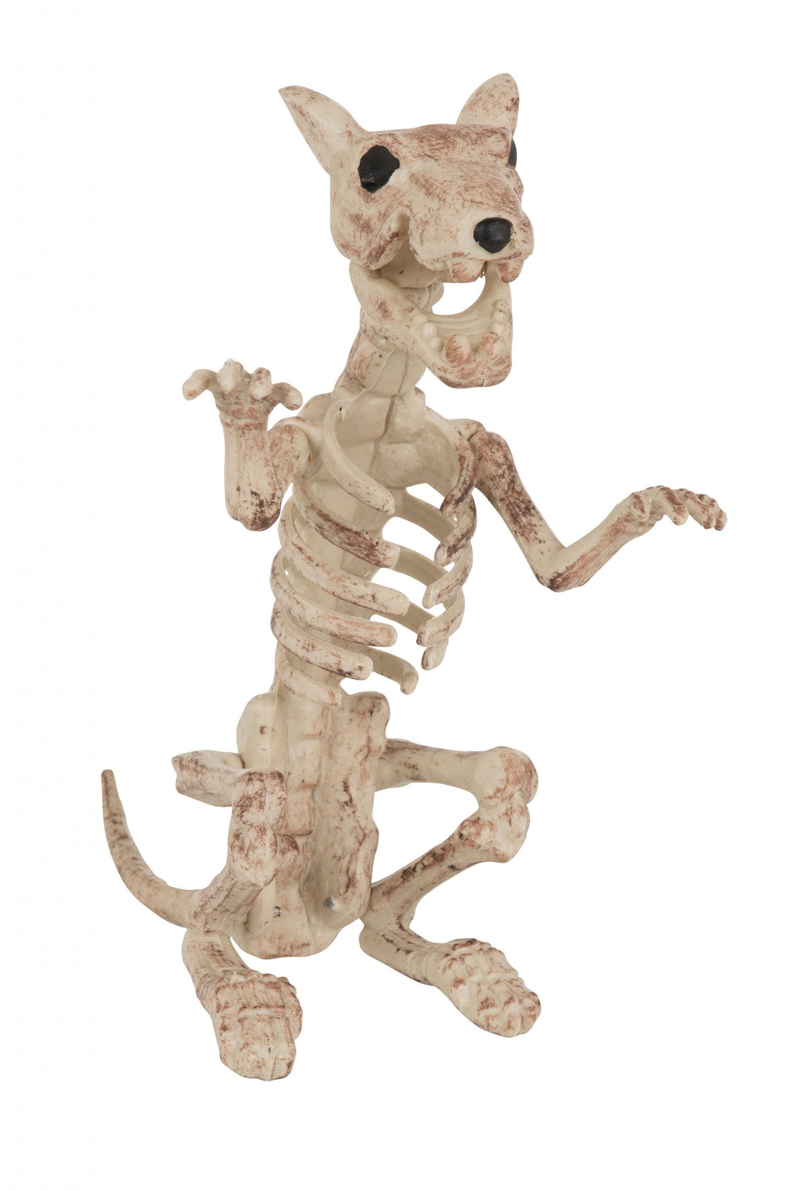 Skeleton Rat Halloween Items Unisex 1