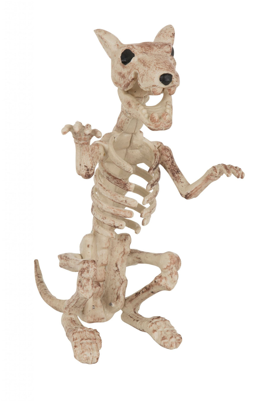 Skeleton Rat Halloween Items Unisex_1