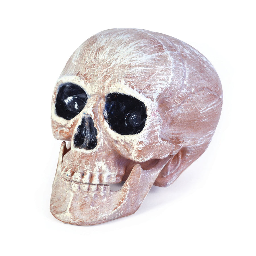 Skull Head Realistic Halloween Decoration_1