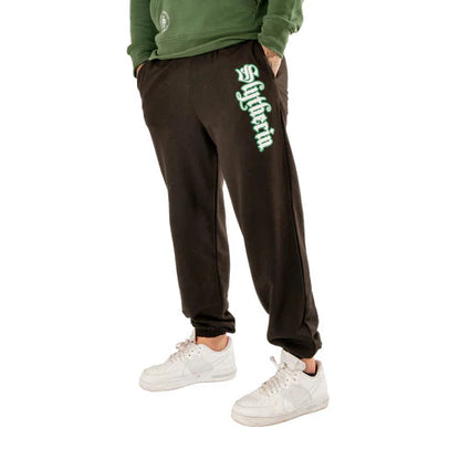 Slytherin Lounge Set Tracksuit Joggers Harry Potter Pants Adult 1