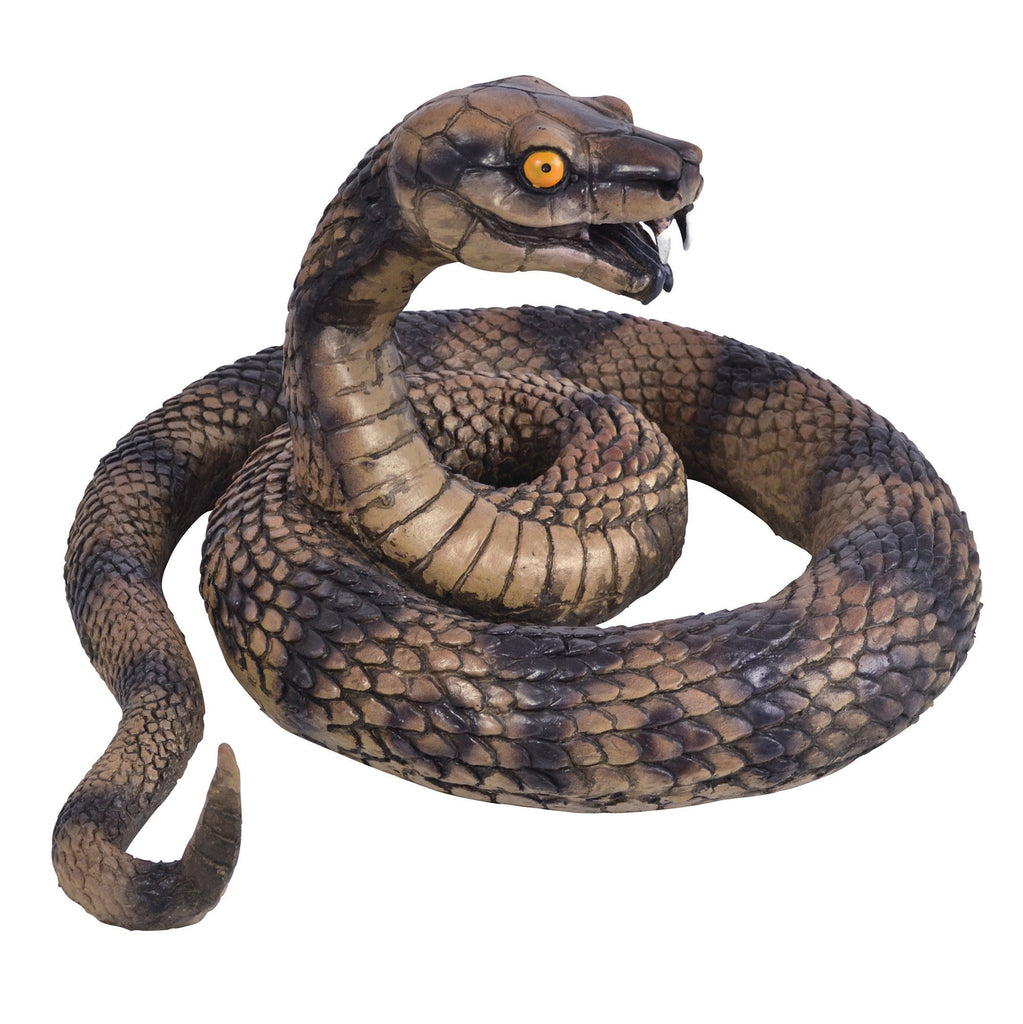 Snake Coiled Animal Kingdom Unisex Snake Coiled Animal Kingdom Unisex